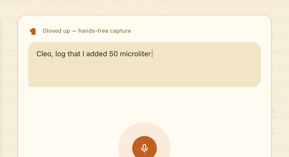 Cleo screenshot